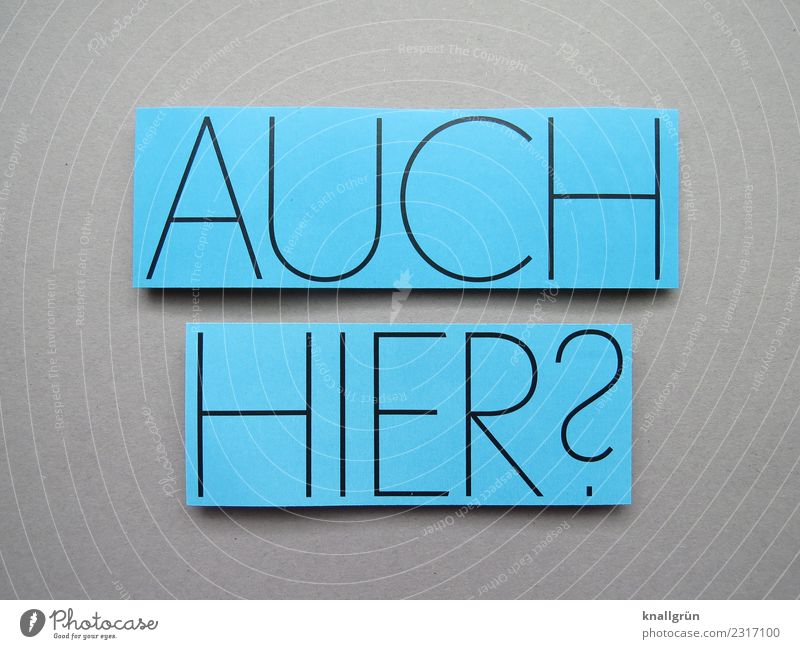 Auch hier? Fragen Neugier Kommunizieren Interesse Kommunikation Buchstaben Wort Satz Typographie Schriftzeichen Sprache Text Lateinisches Alphabet Letter