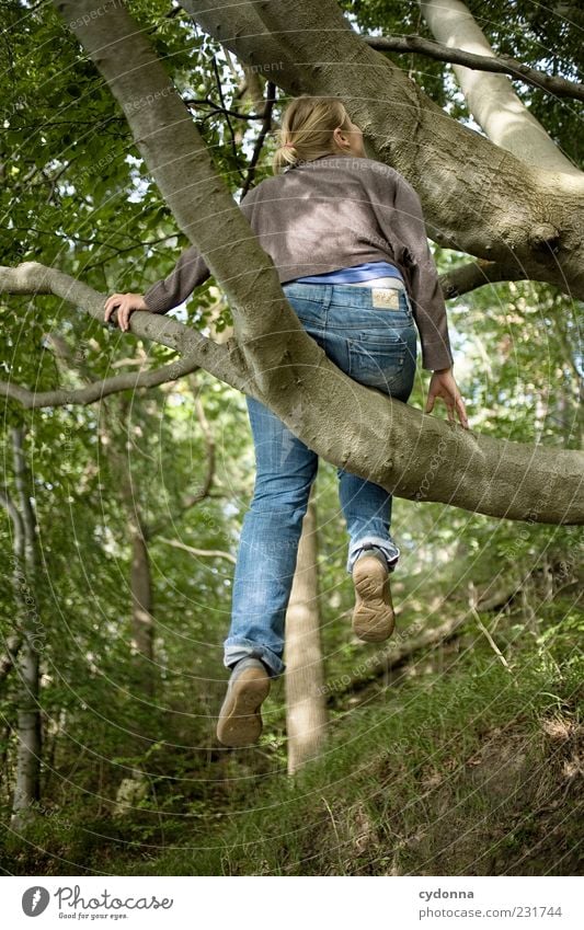 Es geht noch höher Lifestyle elegant Leben Wohlgefühl Freizeit & Hobby Ausflug Freiheit Mensch Junge Frau Jugendliche 18-30 Jahre Erwachsene Umwelt Natur Sommer