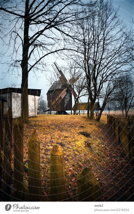 Zwischen Quoos und Luga Umwelt Natur Landschaft Himmel Wolken Winter Schönes Wetter Baum Gras Garten Wiese Windmühle Windmühlenflügel Holz stehen warten alt