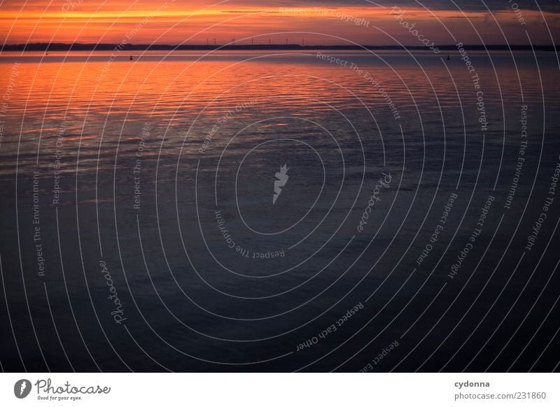 Spiegel harmonisch Wohlgefühl Erholung ruhig Ferne Freiheit Umwelt Natur Landschaft Wasser Himmel Horizont Sonnenaufgang Sonnenuntergang Seeufer Bewegung