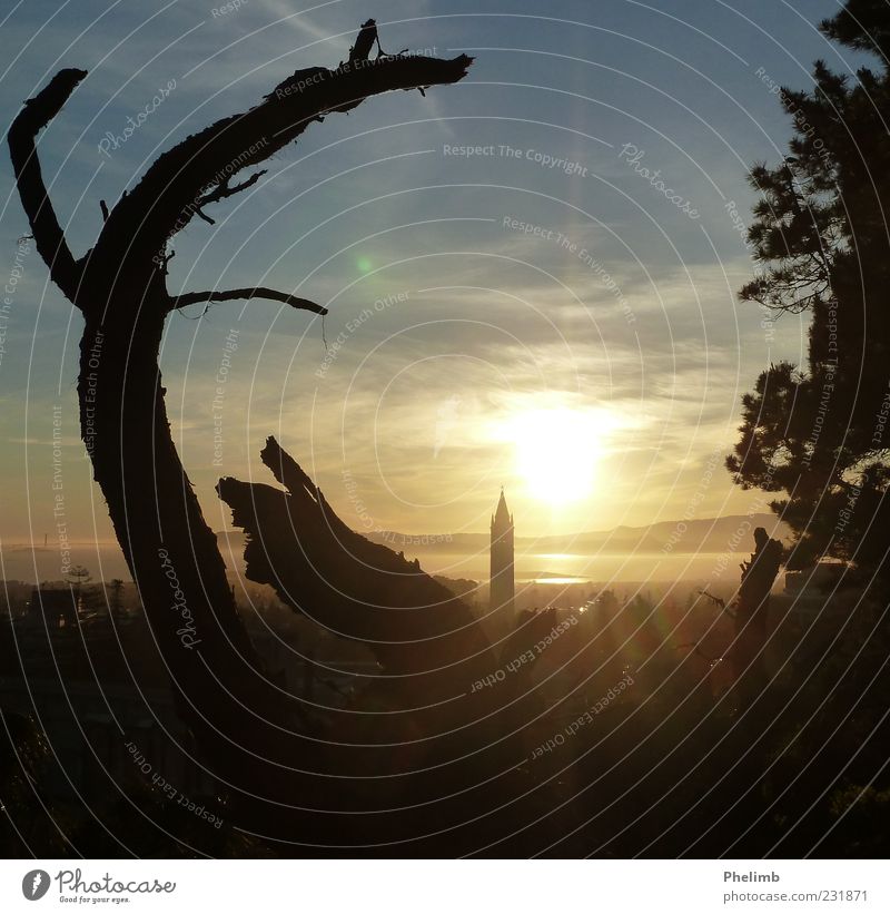 Berkeley Sonnenuntergang Umwelt Natur Landschaft Himmel Sonnenaufgang Baum Turm Gebäude ästhetisch Frühlingsgefühle Farbfoto Außenaufnahme Strukturen & Formen