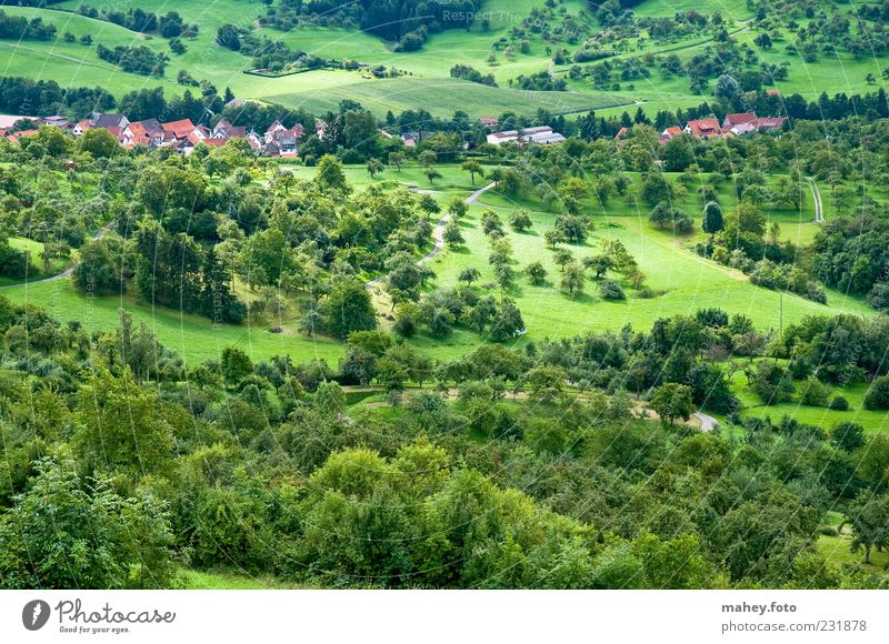 's Ländle Ferien & Urlaub & Reisen Natur Landschaft Sommer Klima Schönes Wetter Wiese Wald Hügel ruhig Tourismus Baden-Württemberg Dorf schwäbisch