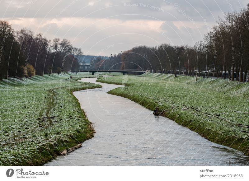 Winterlandschaft mit Fluss Schnee Wiese Flussufer kalt Winterspaziergang Göttingen Fluß Leine Farbfoto Außenaufnahme Textfreiraum oben Textfreiraum unten