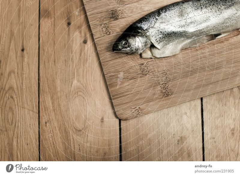 Fisch Tier 1 Holz liegen frisch braun Forelle Tischplatte Holzbrett Schuppen Lebensmittel Bioprodukte Gedeckte Farben Tierporträt nass Vogelperspektive Farbfoto