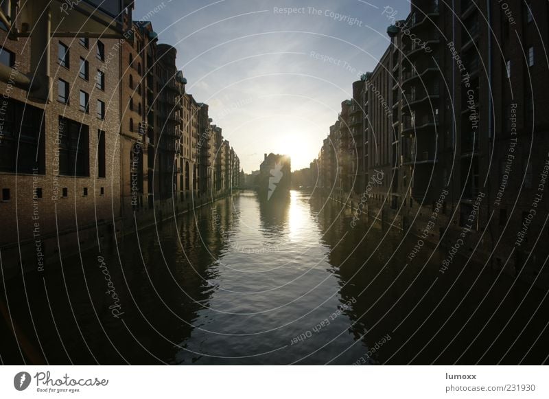 hafencity Hamburg Hafenstadt Stadtzentrum Menschenleer Haus Gebäude Architektur Mauer Wand Sehenswürdigkeit Symmetrie Farbfoto Außenaufnahme Abend Licht