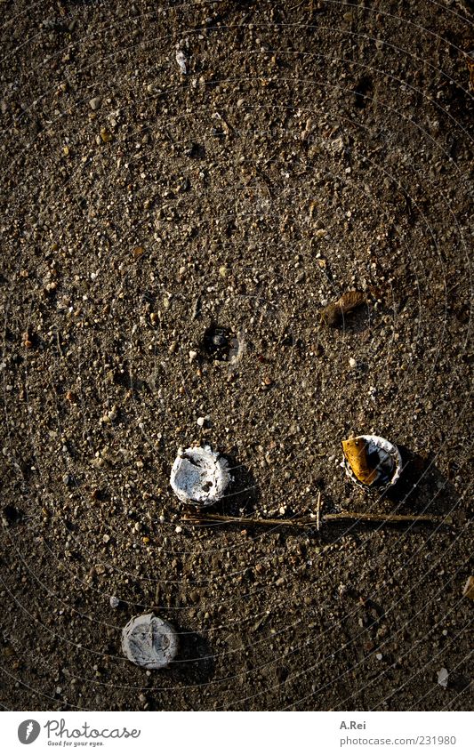 Berlin im Frühling Stein Beton Boden braun Einsamkeit komplex Ordnung Farbfoto Gedeckte Farben Außenaufnahme Nahaufnahme Detailaufnahme abstrakt Muster