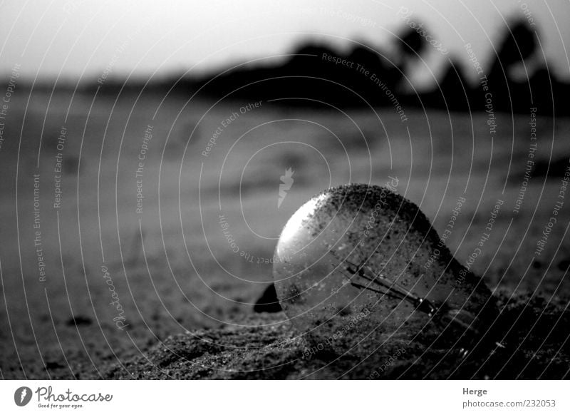 Glühbirne Umwelt Natur Sand Ende Energie Schwarzweißfoto Abend