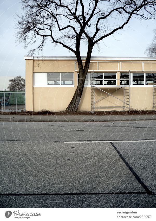 kuschelgruppe Renovieren Baustelle Umwelt Wolkenloser Himmel Baum Industrieanlage Fabrik Gebäude Fassade Fenster Straße Straßenrand gelb grau Gerüst Einsamkeit