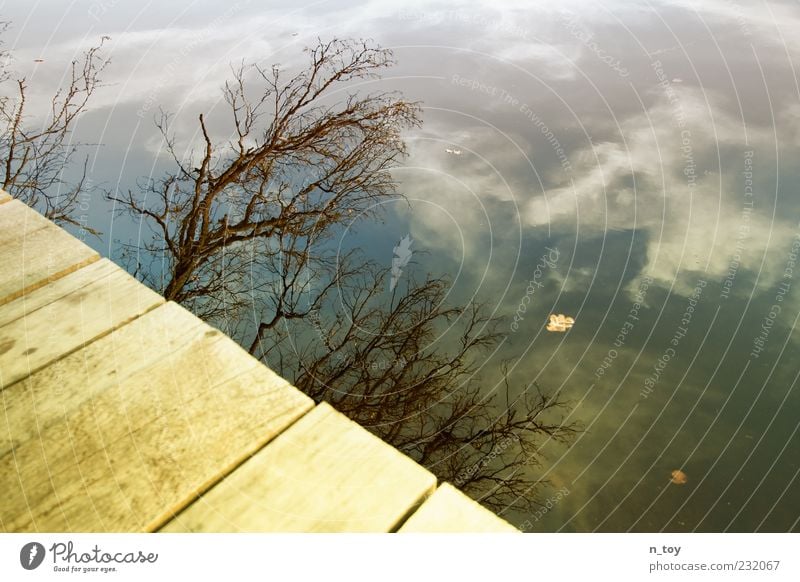 Seeblick Himmel Wolken Baum Seeufer Wasser Erholung ruhig Steg Ast Reflexion & Spiegelung Farbfoto Außenaufnahme Abend Zweige u. Äste Wasseroberfläche