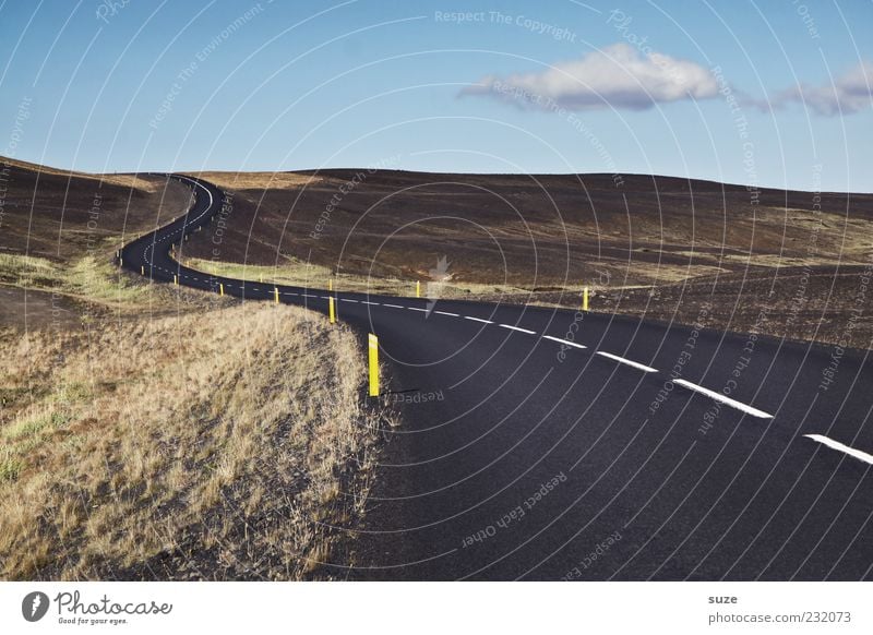 Straßenwetter Umwelt Natur Landschaft Verkehr Verkehrswege Wege & Pfade Linie bedrohlich Ziel Bahn Asphalt Kurve Aktion Island Farbfoto mehrfarbig Außenaufnahme