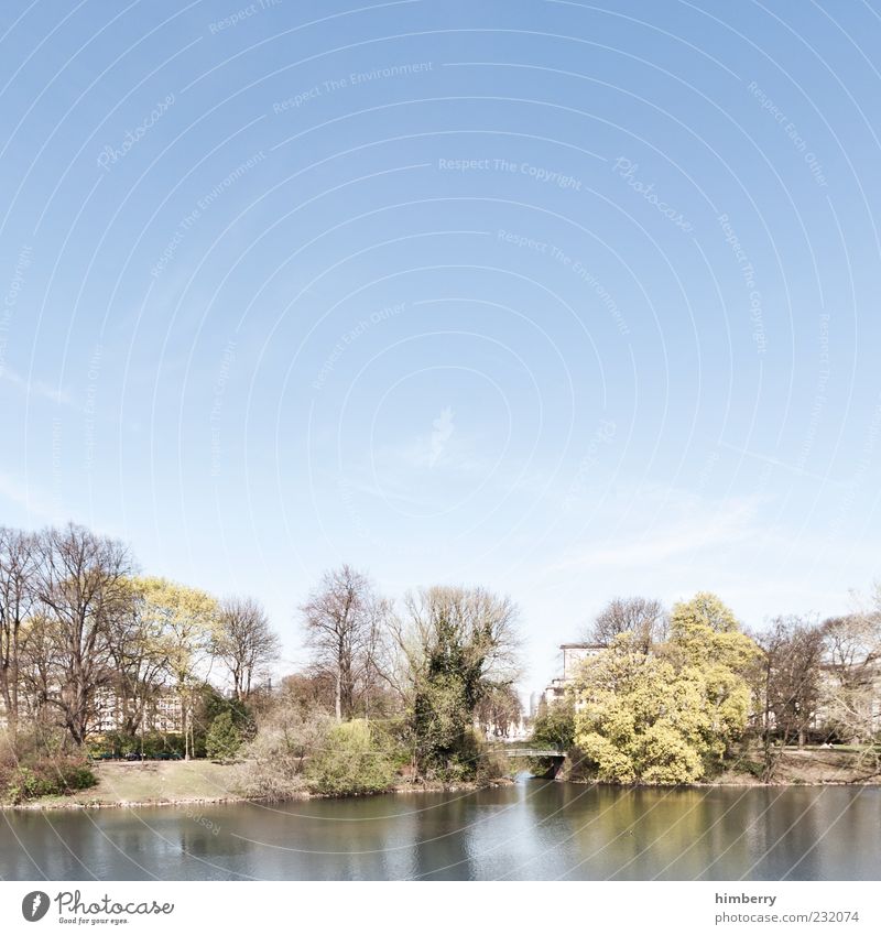 bullerbü Umwelt Natur Landschaft Himmel Frühling Sommer Herbst Schönes Wetter Pflanze Baum Park Küste Seeufer Flussufer Bucht Dorf Stadtrand Haus