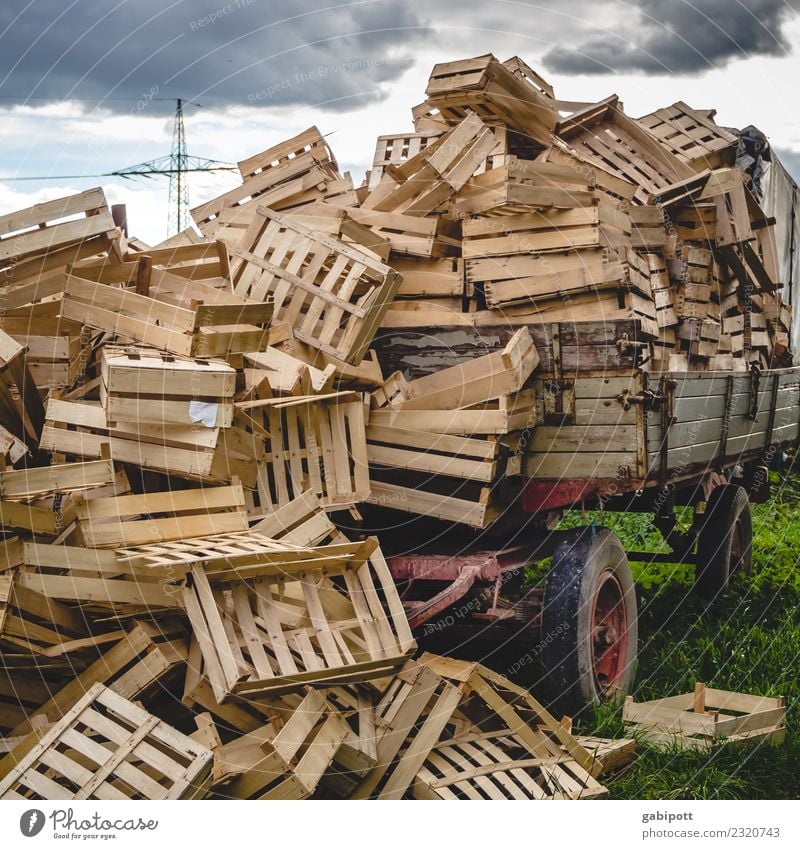 Trecker voll mit Gemüsekisten Arbeit & Erwerbstätigkeit Beruf Gartenarbeit Landwirtschaft Forstwirtschaft Feld Traktor Anhänger viele Obstkiste Ackerbau