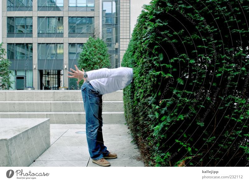 biologiestudent Mensch maskulin Mann Erwachsene Leben 1 Umwelt Natur Pflanze Sträucher Bankgebäude Treppe Blick forschen Neugier Interesse Inhalt nachhaltig