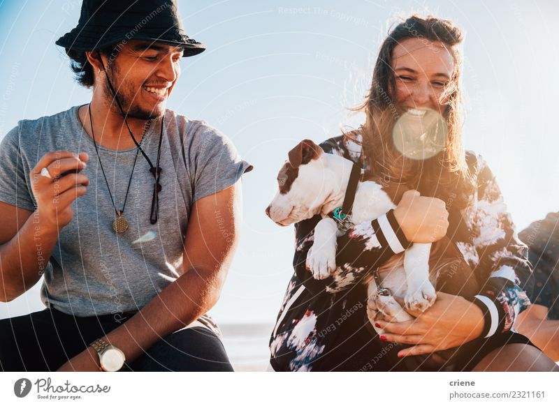 Glückliches junges erwachsenes Paar mit süßem Welpen Freude Spielen Sommer Frau Erwachsene Familie & Verwandtschaft Freundschaft Tier Haustier Hund Liebe