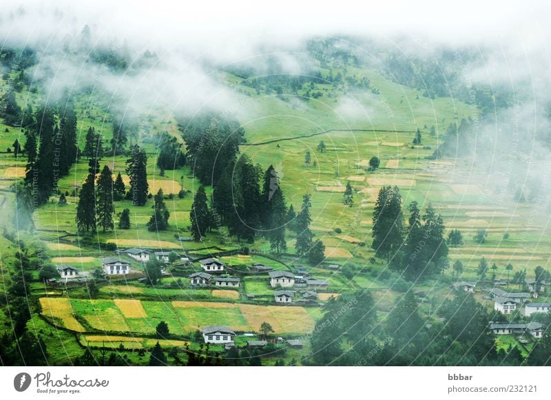 Landschaft mit nebligen Feldern und Wäldern Ferien & Urlaub & Reisen Sommer Berge u. Gebirge Häusliches Leben Haus Natur Wolken Herbst Nebel Baum Gras Wald Dorf