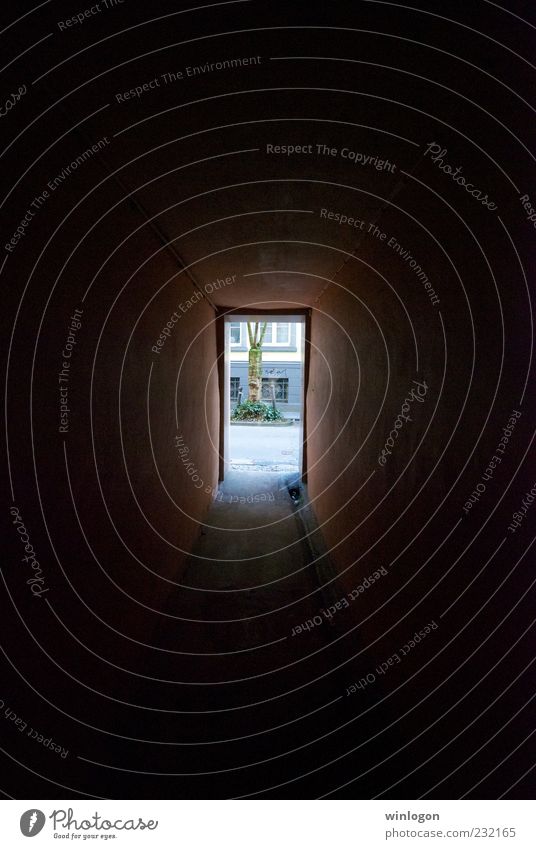 Ausgang Kunst Baum Deutschland Dorf Kleinstadt Stadtrand Altstadt Haus Tunnel Tor Gebäude Architektur Fenster Tür bauen Bewegung Denken fliegen gehen laufen