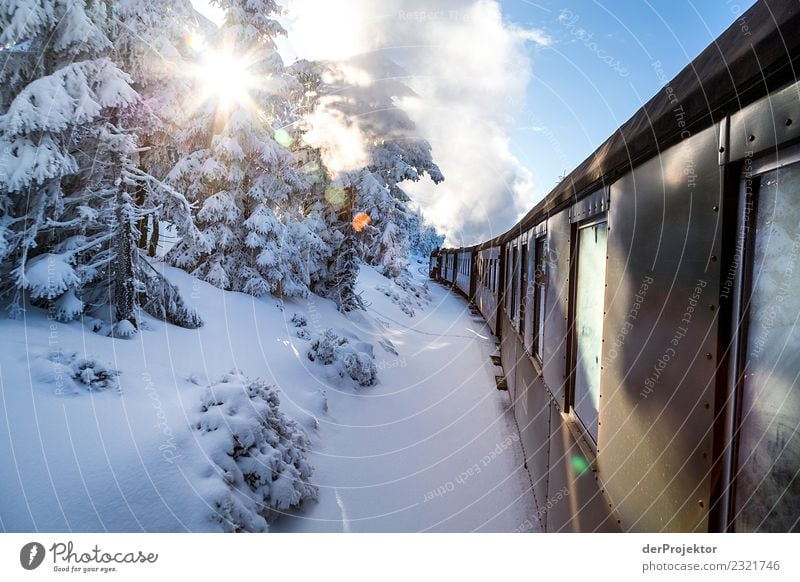 Der Brocken-Orient-Express Ferien & Urlaub & Reisen Tourismus Ausflug Abenteuer Freiheit Winterurlaub Umwelt Natur Landschaft Schönes Wetter Schnee