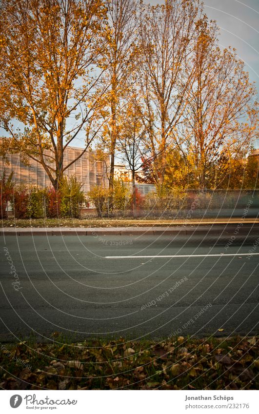 vorbei Natur Herbst Baum Blatt Weimar Menschenleer Haus Hochhaus Gebäude Plattenbau Verkehr Straßenverkehr ästhetisch braun mehrfarbig gelb gold grün rot