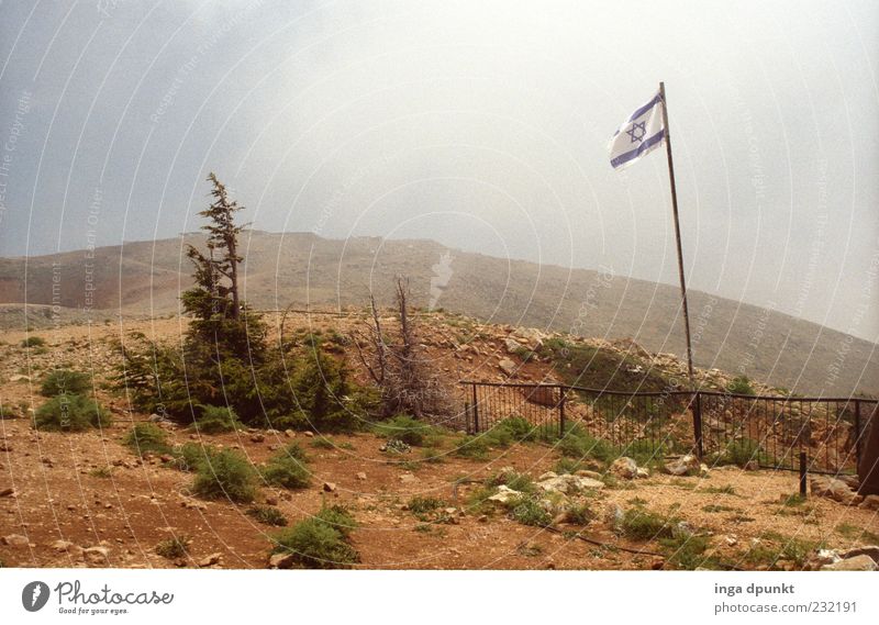 Golan heights Berge u. Gebirge Naher und Mittlerer Osten Umwelt Natur Landschaft Pflanze Erde Himmel Dürre Baum Sträucher Gipfel Hochgebirge Fahne Krieg Grenze