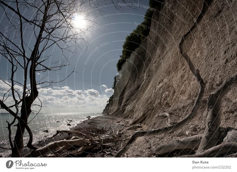 Auf-, Über- und Durchstieg Natur Landschaft Sand Wasser Himmel Wolken Sonne Sonnenlicht Sommer Küste Ostsee Kreidefelsen Rügen Ast braun Warmes Licht Farbfoto