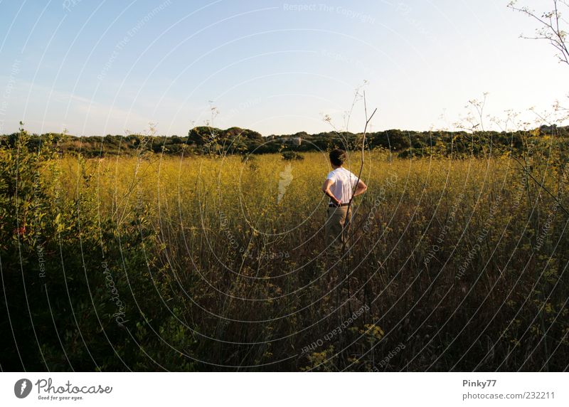 Familienerbe - Wiese, Nord Sardinien, Italien Sommer Insel Mensch maskulin Mann Erwachsene Leben Rücken 1 Natur Landschaft Feld Denken frei gelb grün Optimismus