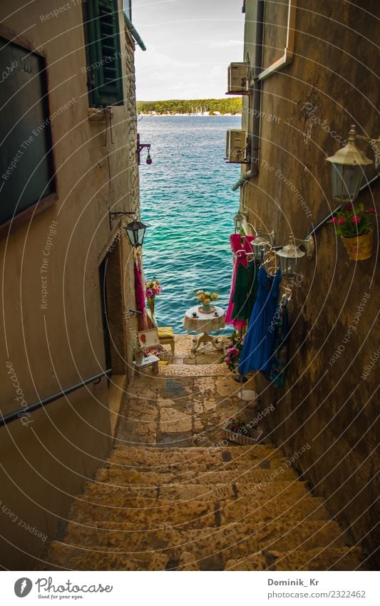 Little alley in Rovinj Stil Design Ferien & Urlaub & Reisen Freiheit Sommer Sommerurlaub Sonne Strand Meer Wellen Kunst Architektur Kultur Kroatien Kleinstadt