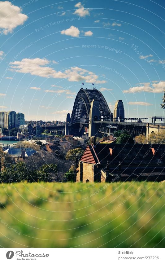 Lovely Harbour Bridge Wiese Hügel Sydney Sydney Harbour Hafenstadt Brücke Architektur Sehenswürdigkeit Wahrzeichen Ferne Himmel Unschärfe Farbfoto Außenaufnahme