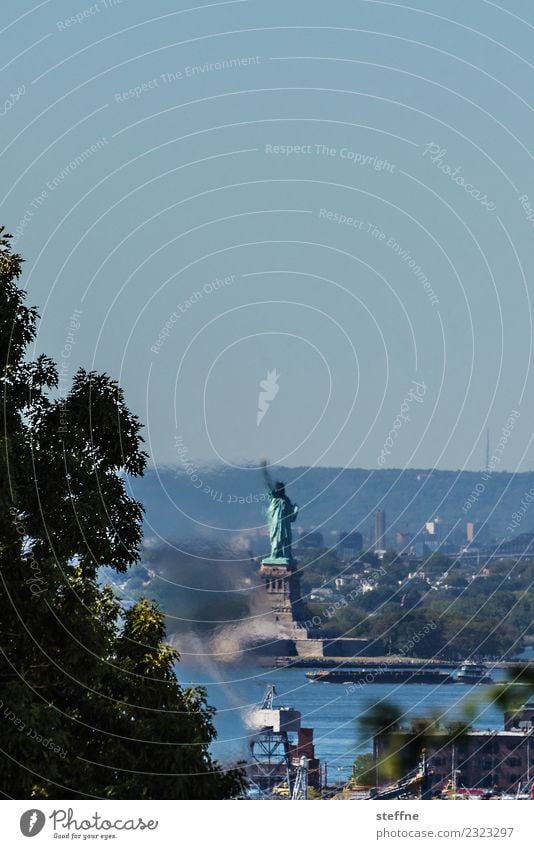 NYC7 New York City Skyline USA Stadt Brooklyn Freiheitsstatue Baum