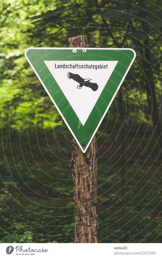 Schild im Wald Naturschutzgebiet Schilder & Markierungen Baum Umwelt Pflanze Tier Umweltschutz Seeadler Bauwerk Politik & Staat Schutz grün Blatt wandern