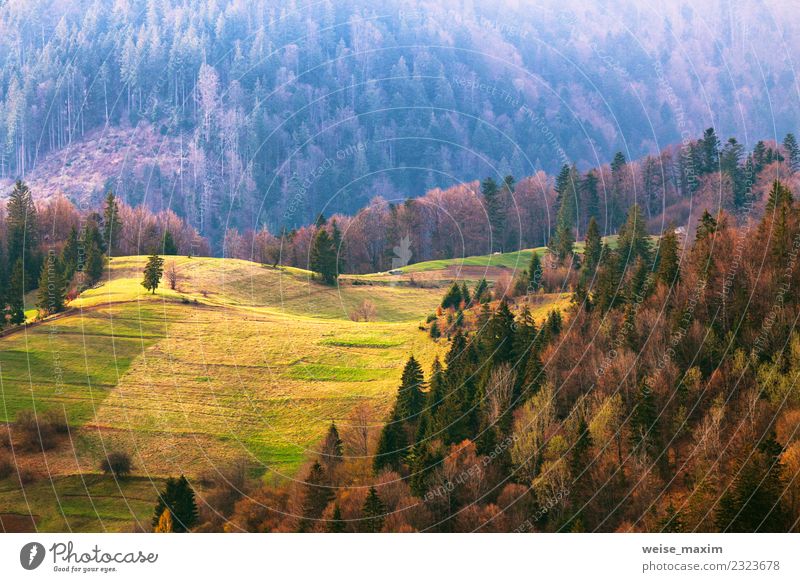 Grüne Hügel im Bergtal. Frühlingslandschaft. schön Ferien & Urlaub & Reisen Tourismus Sommer Berge u. Gebirge Umwelt Natur Landschaft Baum Gras Park Wiese Wald