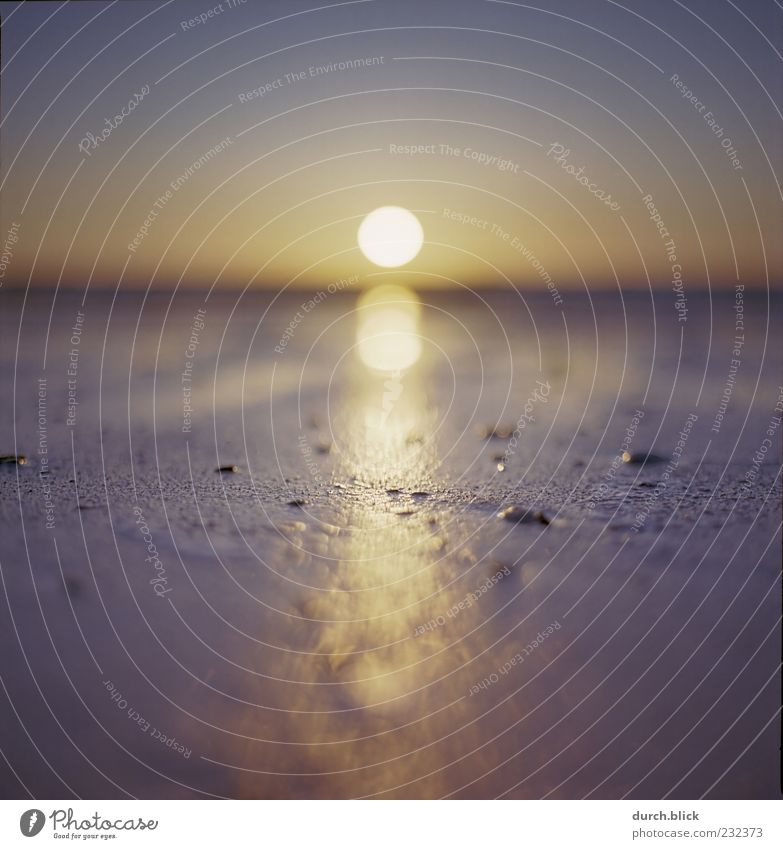 Ereignishorizont Sand Wasser Himmel Horizont Sonne Sonnenaufgang Sonnenuntergang Sonnenlicht Schönes Wetter Küste Strand Nordsee Stein unten gold violett