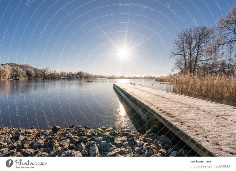 See im Winter Ferien & Urlaub & Reisen Ostsee kalt blau 2018 Bansin Eis gefroren Gewässer Raureif Schilfrohr Schloonsee Sonnenschein Sonnenstern Ufer Usedom