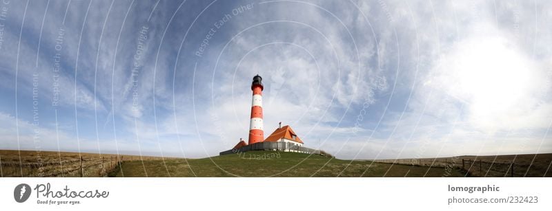 Westerhever Sand Nordfriesland Umwelt Natur Landschaft Wasser Schönes Wetter Küste Strand Nordsee Stimmung Farbfoto Außenaufnahme Luftaufnahme Menschenleer