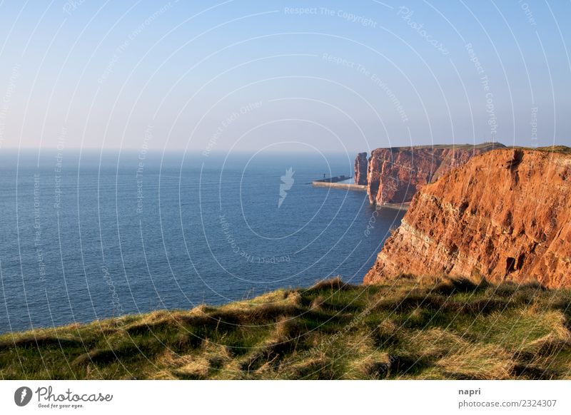 Rote Klippen Helgoland Ferien & Urlaub & Reisen Tourismus Ferne Meer Insel Landschaft Nordsee Natur Farbfoto Außenaufnahme Menschenleer Textfreiraum links