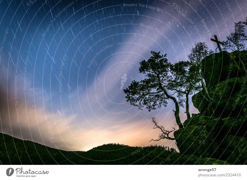 Sterne übern Ilsestein Natur Landschaft Himmel Wolken Nachthimmel Herbst Baum Felsen Harz Unendlichkeit blau braun grün weiß Gelassenheit ruhig Nachtaufnahme