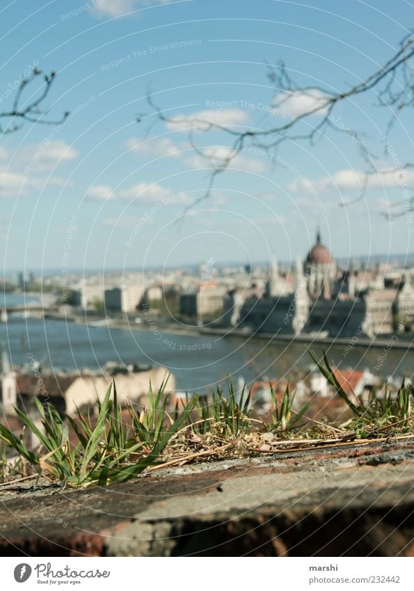 Aussicht Natur Pflanze Gras Hauptstadt Stadtzentrum Altstadt Haus Bauwerk Gebäude Mauer Wand Sehenswürdigkeit Wahrzeichen Denkmal grün Budapest Ungarn