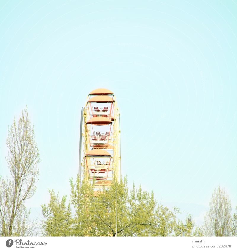 ne Runde drehen hell Riesenrad Jahrmarkt Baum Baumkrone Himmel Freude Vergnügungspark Farbfoto Außenaufnahme Tag Textfreiraum oben Textfreiraum rechts