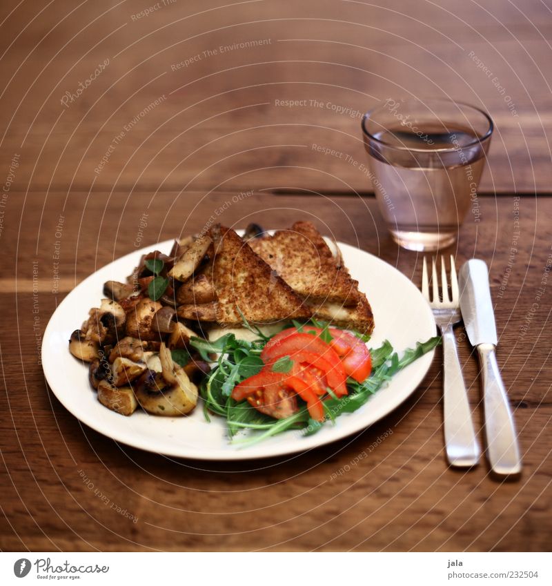 mittagstisch Lebensmittel Gemüse Salat Salatbeilage Teigwaren Backwaren Tomate Toastbrot Pilz Champignons Ernährung Mittagessen Abendessen Bioprodukte