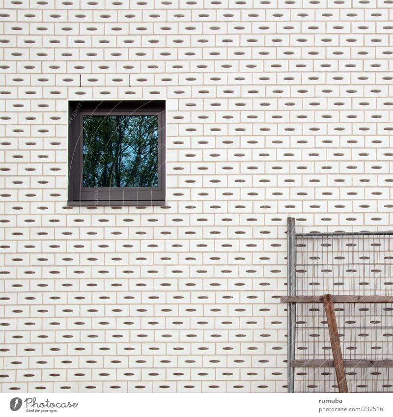 Blick ins Grüne. Haus Hausbau Baustelle Bauwerk Gebäude Architektur Mauer Wand Fenster Stein Beton Glas weiß Identität Präzision Stil Gerüst