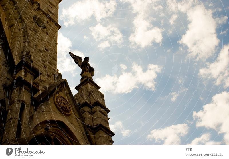 Holy Heaven Kunst Kunstwerk Kirche Sehenswürdigkeit Denkmal authentisch fest Engel Statue Kathedrale Himmel steigend erhaben Religion & Glaube Christentum