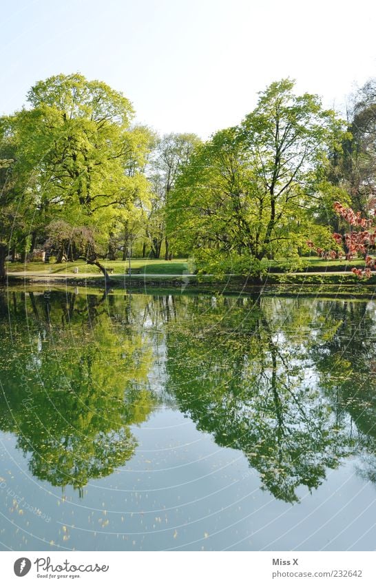 Spiegel Natur Wasser Himmel Wolkenloser Himmel Schönes Wetter Baum Park Seeufer Flussufer grün Erholungsgebiet Teich Farbfoto mehrfarbig Außenaufnahme Muster