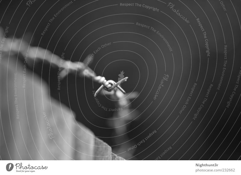 Unerwünscht Holz Metall Wachsamkeit Feindseligkeit Macht Schwarzweißfoto Außenaufnahme Nahaufnahme Detailaufnahme Menschenleer Textfreiraum rechts