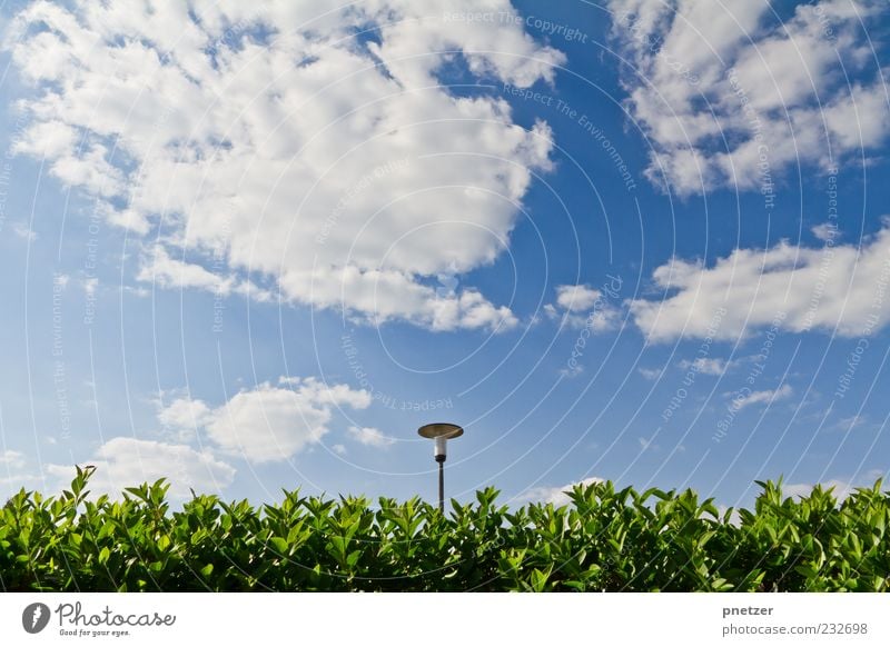 Himmel Hecke Laterne Umwelt Natur Wolken Frühling Sommer Klima Klimawandel Wetter Schönes Wetter Pflanze Sträucher Blatt Grünpflanze schön blau grün