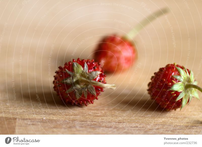 Fünfeinhalb Tage zur Erdbeerzeit Lebensmittel Frucht Erdbeeren Ernährung Bioprodukte Vegetarische Ernährung Slowfood Pflanze Holz frisch Gesundheit saftig süß