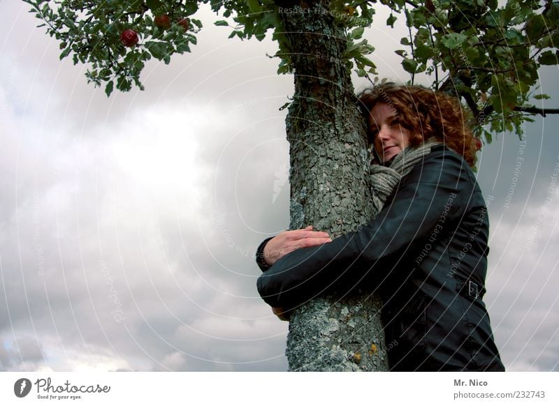 umweltschutz feminin Frau Erwachsene Umwelt Natur Wolken Klima Wetter Baum Blatt Locken träumen Umarmen Gefühle Baumstamm Naturliebe Freundschaft Beschützer