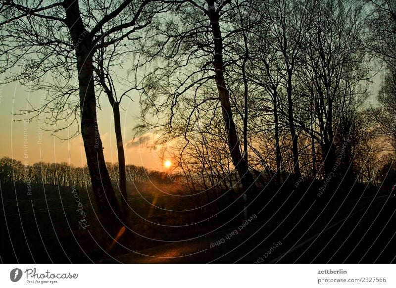 Sonnenuntergang/Lobbe Abend Dämmerung Erholung Feierabend Ferien & Urlaub & Reisen Himmel Himmel (Jenseits) Mecklenburg-Vorpommern Menschenleer mönchgut Natur