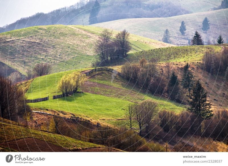 Grüne Hügel im Bergtal. Frühlingslandschaft Ferien & Urlaub & Reisen Tourismus Ferne Freiheit Sommer Berge u. Gebirge wandern Umwelt Natur Landschaft Erde