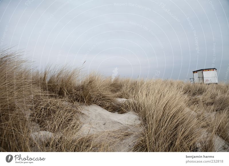 tag am meer #4 Natur Landschaft Sand Himmel Wolken schlechtes Wetter Küste Strand Ostsee Meer trist ruhig Farbfoto Außenaufnahme Menschenleer Strandposten