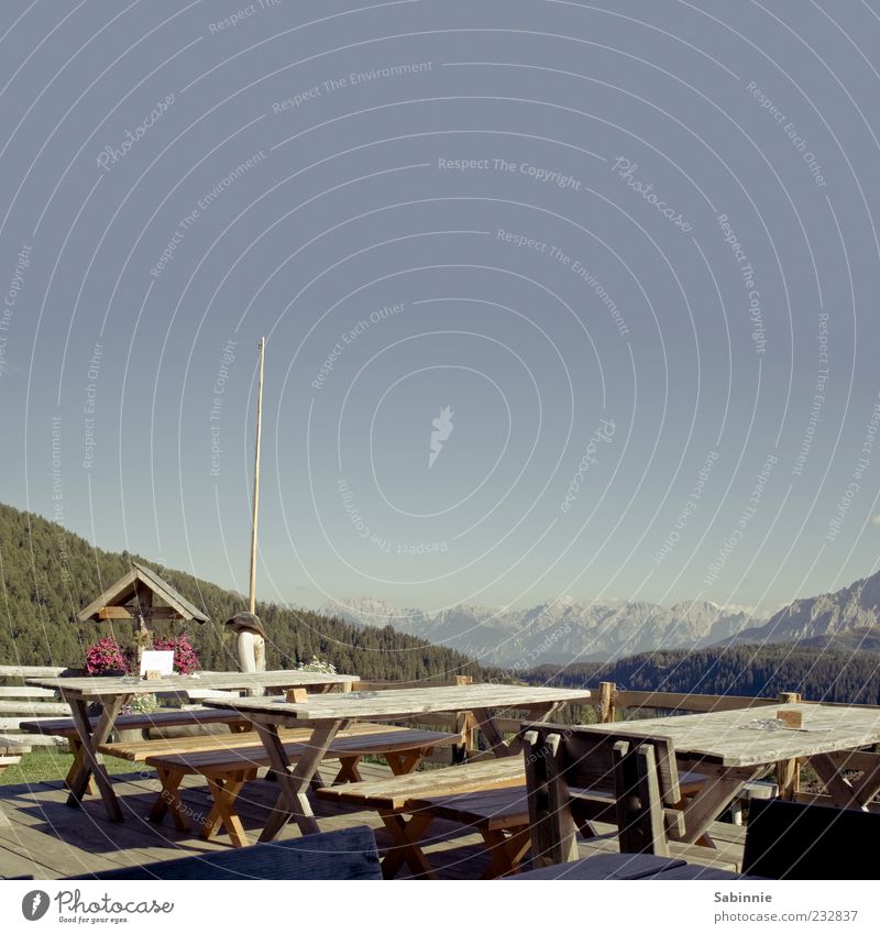 Brotzeit gefällig? Restaurant Berghütte Natur Landschaft Urelemente Himmel Wolkenloser Himmel Schönes Wetter Pflanze Baum Wald Felsen Alpen Berge u. Gebirge