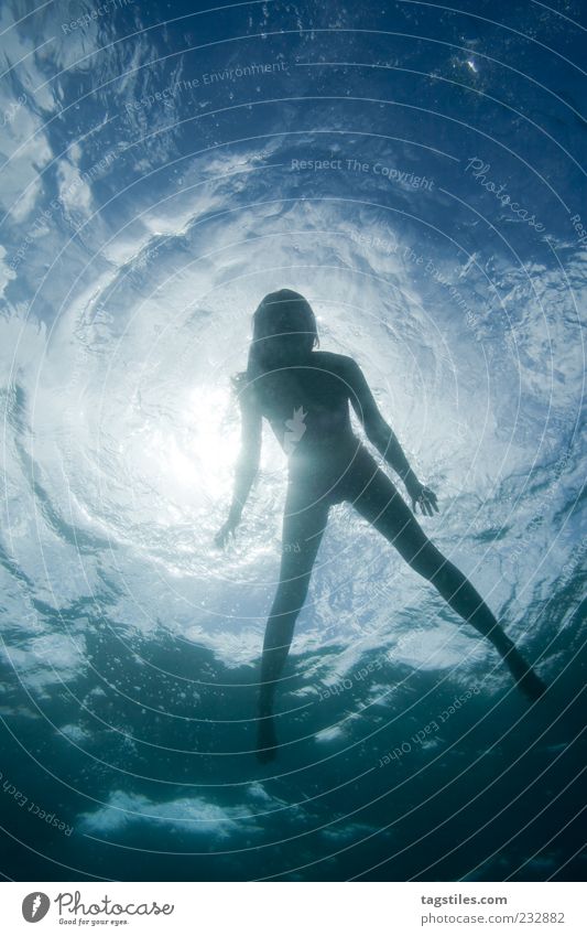 OBERFLÄCHLICH Wasser Wasseroberfläche Oberfläche Frau Schwimmen & Baden Im Wasser treiben Sonne Silhouette Umrisslinie Schemata Schweben Sonnenlicht